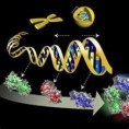 /album/fotogaleria/entre-biologia-y-genetica-molecular-una-diferencia-de-genes-13-jpg/