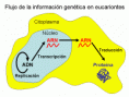 /album/fotogaleria/flujo-gif/